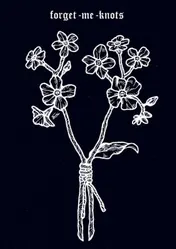 Omslag van forget me knots