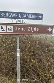 Omslag van Gene zijde