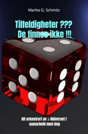 Omslag van Tilfeldigheter? De finnes ikke!
