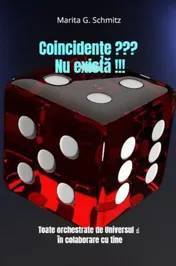 Omslag van Coincidențe ??? Nu există !!!