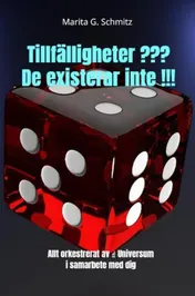 Omslag van Tillfälligheter ??? De existerar inte !!!