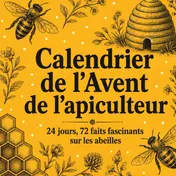 Omslag van Calendrier de l’Avent de l’apiculteur