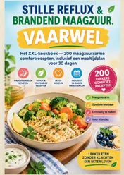 Omslag van STILLE REFLUX & BRANDEND MAAGZUUR, VAARWEL