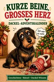 Omslag van Kurze Beine, großes Herz: Der Dackel-Adventskalender – 24 Tage voller Geschichten, Witze, Rätsel und Dackel-Wissen