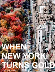 Omslag van When New York Turns Gold