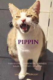 Omslag van Pippin
