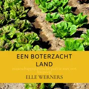 Omslag van EEN BOTERZACHT LAND