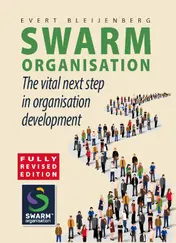 Omslag van Swarm Organisation