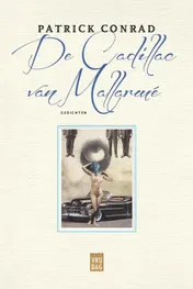 Omslag van De Cadillac van Mallarmé