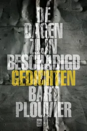Omslag van De dagen zijn beschadigd