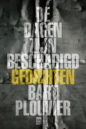 Omslag van De dagen zijn beschadigd