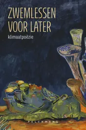Omslag van Zwemlessen voor later