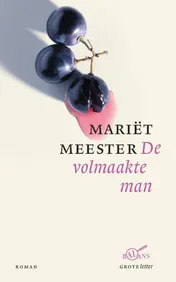 Omslag van De volmaakte man