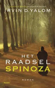 Omslag van Het raadsel spinoza