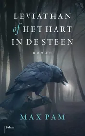Omslag van Leviathan of Het hart in de steen