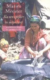 Omslag van Sla een spijker in mijn hart