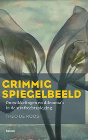 Omslag van Grimmig spiegelbeeld