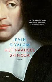 Omslag van Het raadsel Spinoza