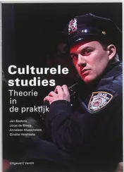 Omslag van Culturele studies
