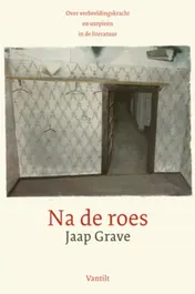Omslag van Na de roes