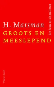Omslag van Groots en meeslepend