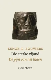 Omslag van Die sterke vijand