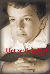 Omslag van Het zesde gebod