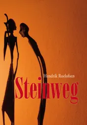 Omslag van Steinweg