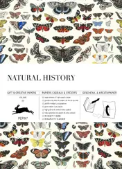 Omslag van Natural History