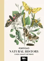 Omslag van Natural History