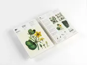 Omslag van Natural History