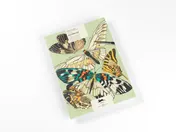 Omslag van Butterflies