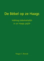 Omslag van De Bèbel op ze Haags
