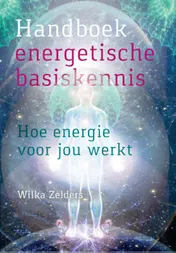 Omslag van Handboek energetische basiskennis