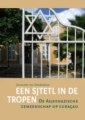 Omslag van Een sjtetl in de tropen