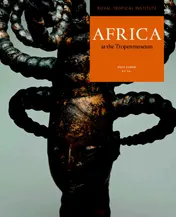 Omslag van Africa at the Tropenmuseum