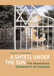 Omslag van A Shtetl under the Sun