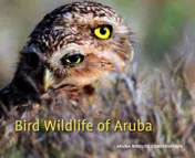 Omslag van Bird Wildlife of Aruba