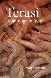 Omslag van Terasi