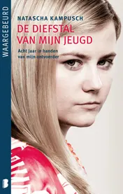 Omslag van De diefstal van mijn jeugd