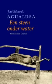 Omslag van Een steen onder water