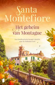 Omslag van Het geheim van Montague