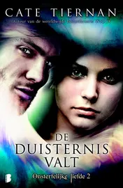 Omslag van De duisternis valt