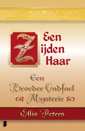 Omslag van Een zijden haar