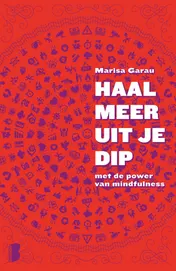 Omslag van Haal meer uit je dip
