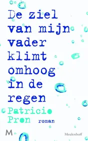 Omslag van De ziel van mijn vader klimt omhoog in de regen