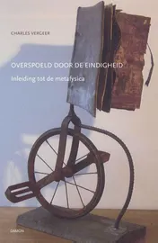 Omslag van Overspoeld door de eindigheid