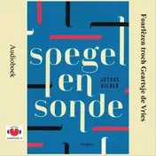 Omslag van Spegel en sonde