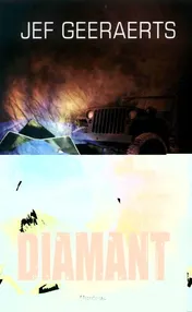 Omslag van Diamant