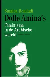 Omslag van Dolle Amina's